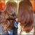 Dove Advanced Hair Series Pure Care Dry Oil Range