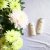 Dove Nutritive Solutions Range