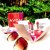 AVON HYDRAMATIC LIPSTICK Range