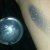 Essence Colour &amp; Shine Eyeshadow in Stage Beauty 02