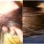 My tips, Before and After