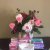 Comfitex Sanitary Protection Solution