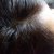 Plantur 39 Colour Brown Shampoo &amp; Conditioner