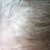 Plantur 39 Colour Brown Shampoo &amp; Conditioner