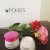 POND’S Flawless Radiance Derma+ Night Cream