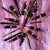 AVON Power Stay Statement Berry Shadow Stick
