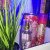 Yardley Conquest Lady Luxury Eau De Parfum