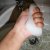 Konjac Sponge