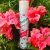 Batiste Divine Dark Dry Shampoo