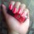 Salon Pro Kate Moss Collection