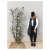 Boity by Impulse Street Slayer &amp; Vanilla Rain