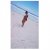 Boity by Impulse Tribal Soul &amp; Endless Summer
