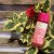 BRAMLEY PINK BLOSSOM RANGE