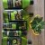 Nature Box Avocado Range