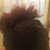 Before the 1st time using