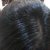 Plantur 39 Colour Brown Shampoo &amp; Conditioner