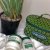 Ingram&#039;s Hemp Range