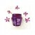 Gliss Intense Therapy with Omegaplex Range
