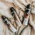 Shield Even Tone roll-on and aerosol for men