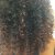 1st time after the last rinse