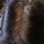 Plantur 39 Colour Brown Shampoo &amp; Conditioner
