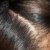 Plantur 39 Colour Brown Shampoo &amp; Conditioner