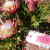PicsArt_08-12-09.12.33.jpg