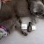 Kiehl&#039;s #ChangeYourSkin.jpg