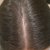 Plantur 39 Colour Brown Shampoo &amp; Conditioner