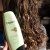 Organics Shampoo &amp; Conditioner for Dry and Damaged hair with Organics Shea Butter