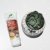 Dr Organic Moroccan Argan Oil Skin Lotion