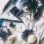 Dove Advanced Hair Series Pure Care Dry Oil Range