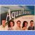 Aquaflosser