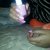 Essie Fun