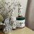 Bramley Magnolia tissue oil