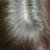 Plantur 39 Colour Brown Shampoo &amp; Conditioner