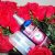 Natur Vital Hair Loss Conditioner: Leave-in