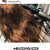 Gliss Intense Therapy with Omegaplex ®  Conditioner
