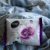 Pure 3 in 1 Make Up Removal Wipes