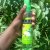 Natural Collection Body Spray Green Apple