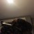 Hair in Prepoo state