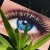 Avon Mark Big &amp; Daring Mascara