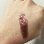 Cipria-eyeshadow.gif