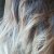 Gliss Intense Therapy with Omegaplex ® Shampoo