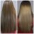 Organics Shampoo &amp; Conditioner for Dry and Damaged hair with Organics Shea Butter