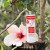 Hada Labo Tokyo Super Hydrating Lotion
