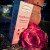 BRAMLEY PINK BLOSSOM RANGE