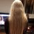 Dove Advanced Hair Series Pure Care Dry Oil Range