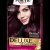 Schwarzkopf Palette Deluxe Diamond Blonde 9-1