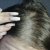 Plantur 39 Colour Brown Shampoo &amp; Conditioner